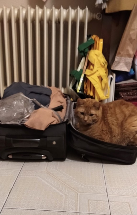 "empacando equipaje entre ir y venir..." de Carolina Persia