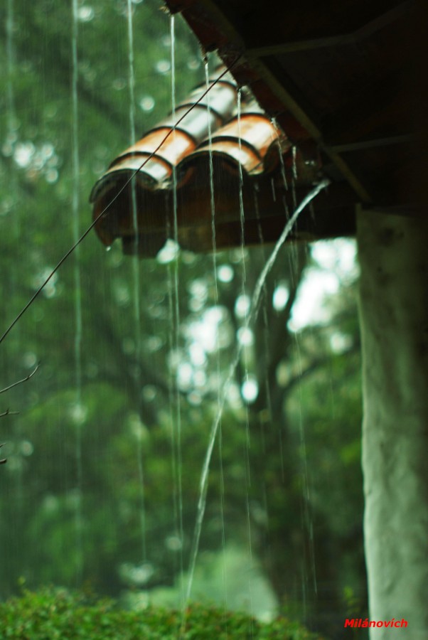 "Llueve" de Pedro V. Milanovich