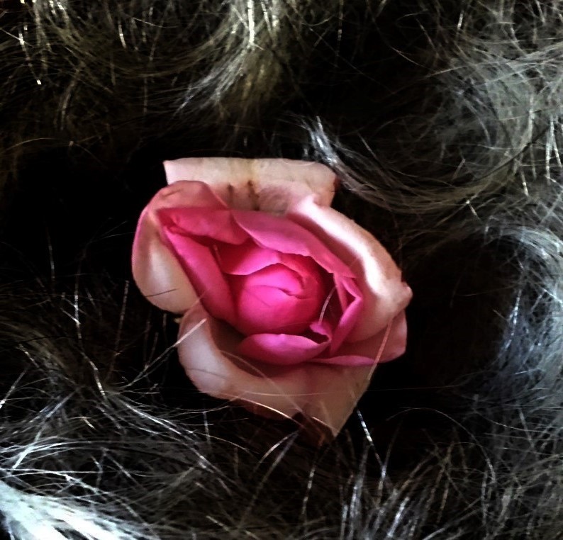 "anidando rosas" de Beatriz Di Marzio