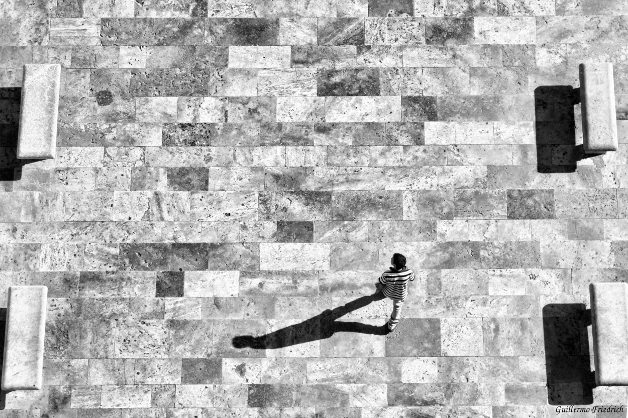 "Paseando con su sombra" de Guillermo Friedrich