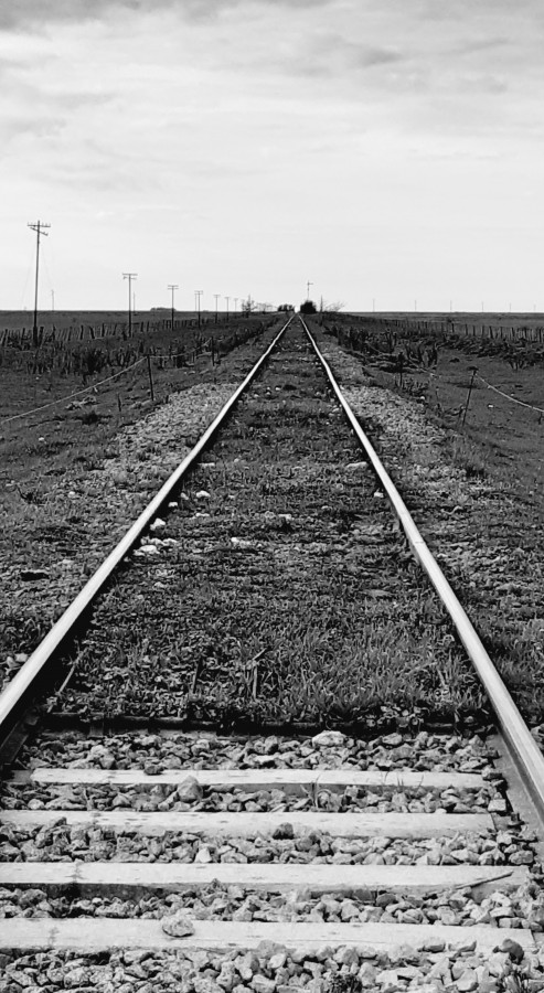 "La vida es el tren..." de Cecilia Arenal
