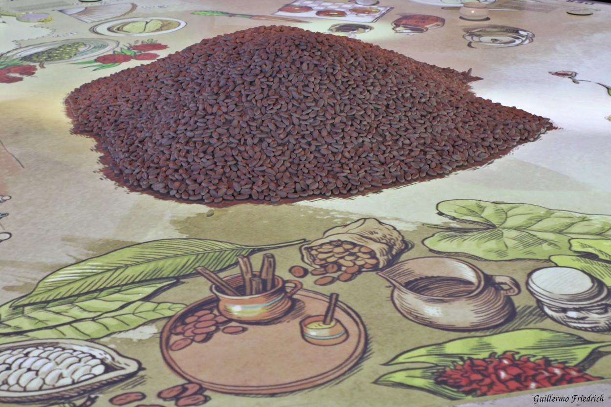 "Cacao" de Guillermo Friedrich