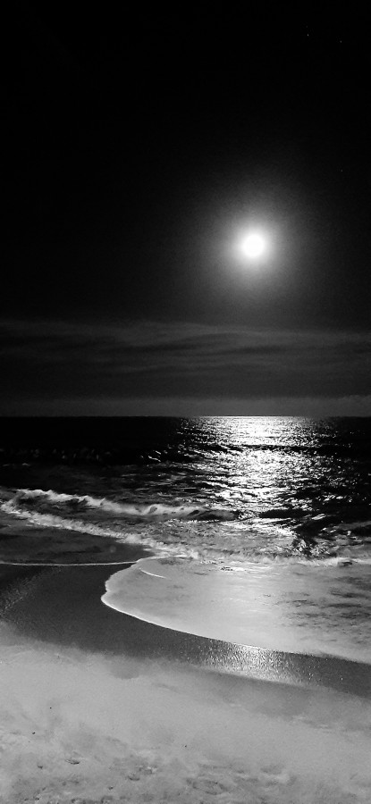 "Luna llena sobre el mar" de Juan Carlos Viegas