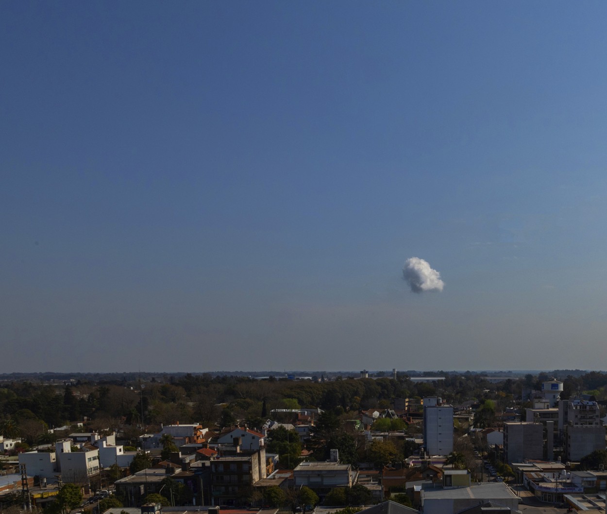 "Es una nube, no hay duda" de Alfredo Fushimi