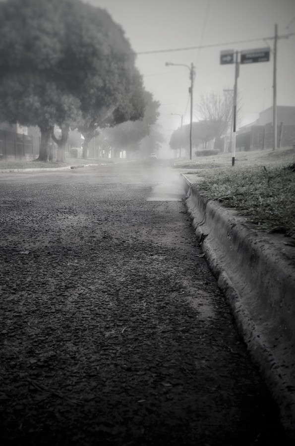 "Neblina de la maana" de Roberto Guillermo Hagemann