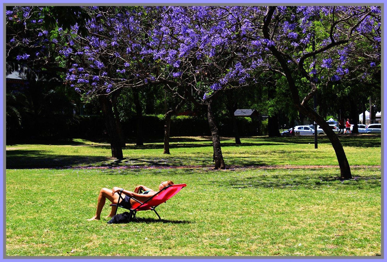 "Relax en el Parque..." de Silvia Emilia Guerra