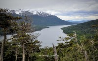 Paso Pellegrini - Tierra del Fuego