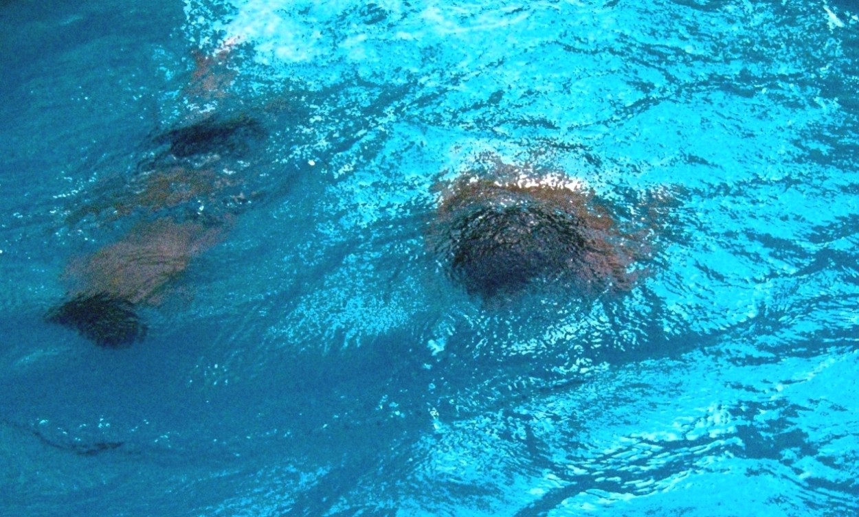 "nadando" de Beatriz Di Marzio