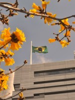 No dia ` da independência do Brasil ` as cores....