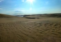 dunas patagnicas