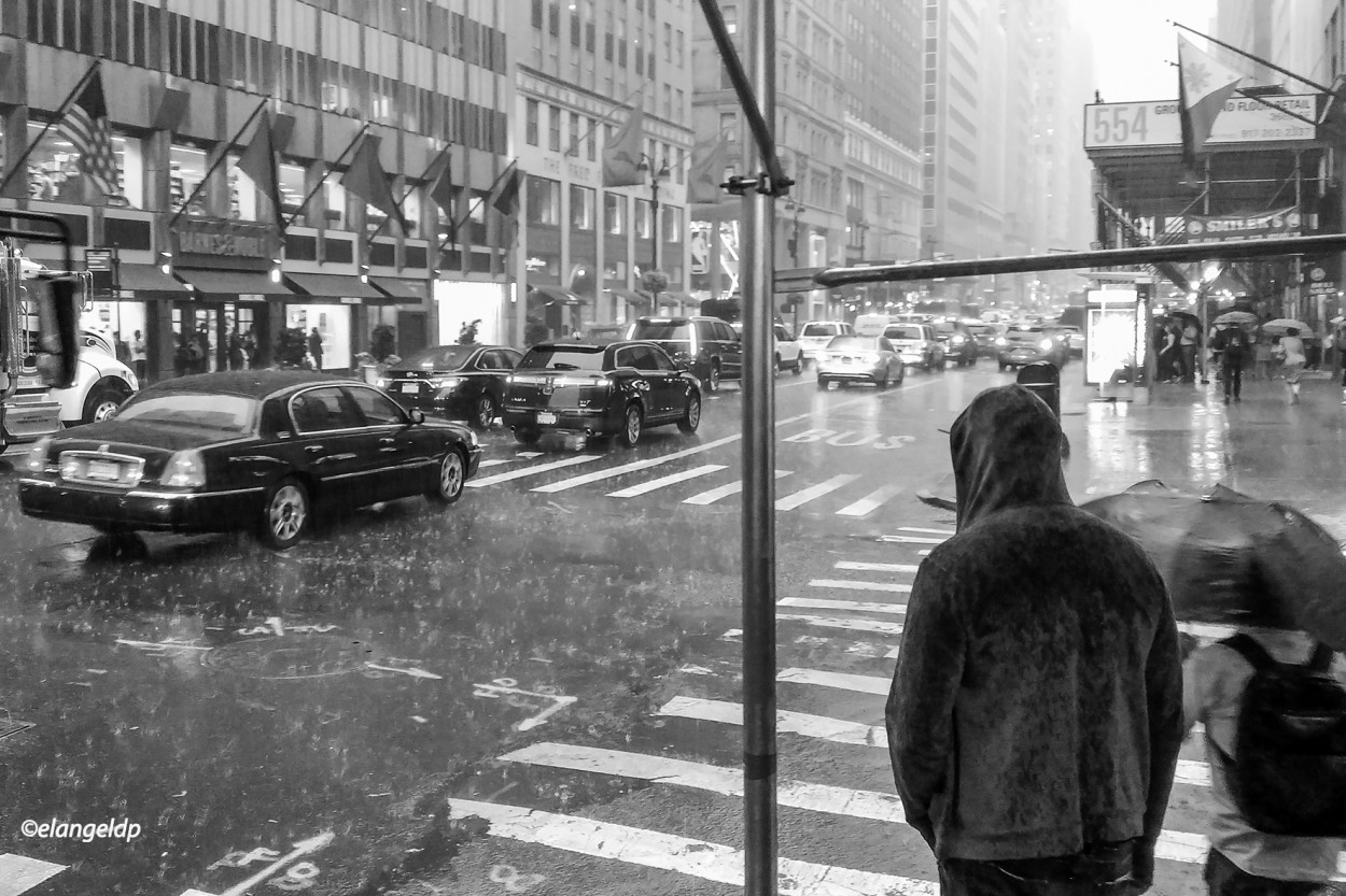 "A Rainy Day in New York" de Angel De Pascalis