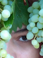 Mirada entre uvas