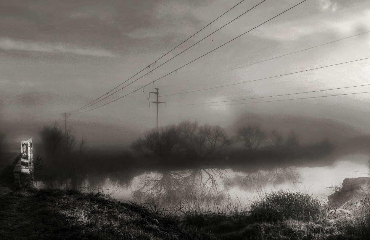 "niebla de la maana" de Viviana Garca