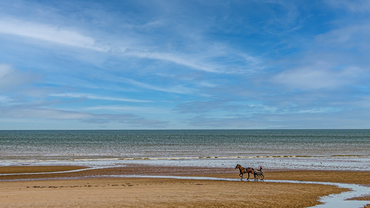 "Playa de Normandia!!" de Eduardo Alfredo Balducci