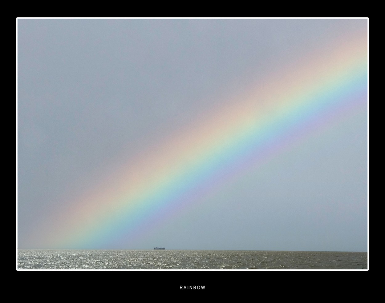 "Rainbow" de Carlos A. Sandoval