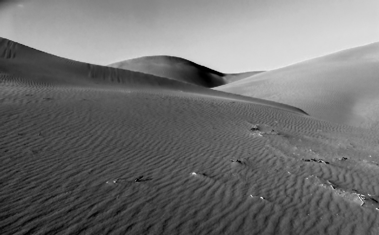 "duna solitaria" de Delia Raquel Sakauskas