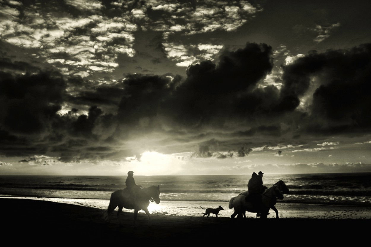 "cabalgata al alba" de Viviana Garca