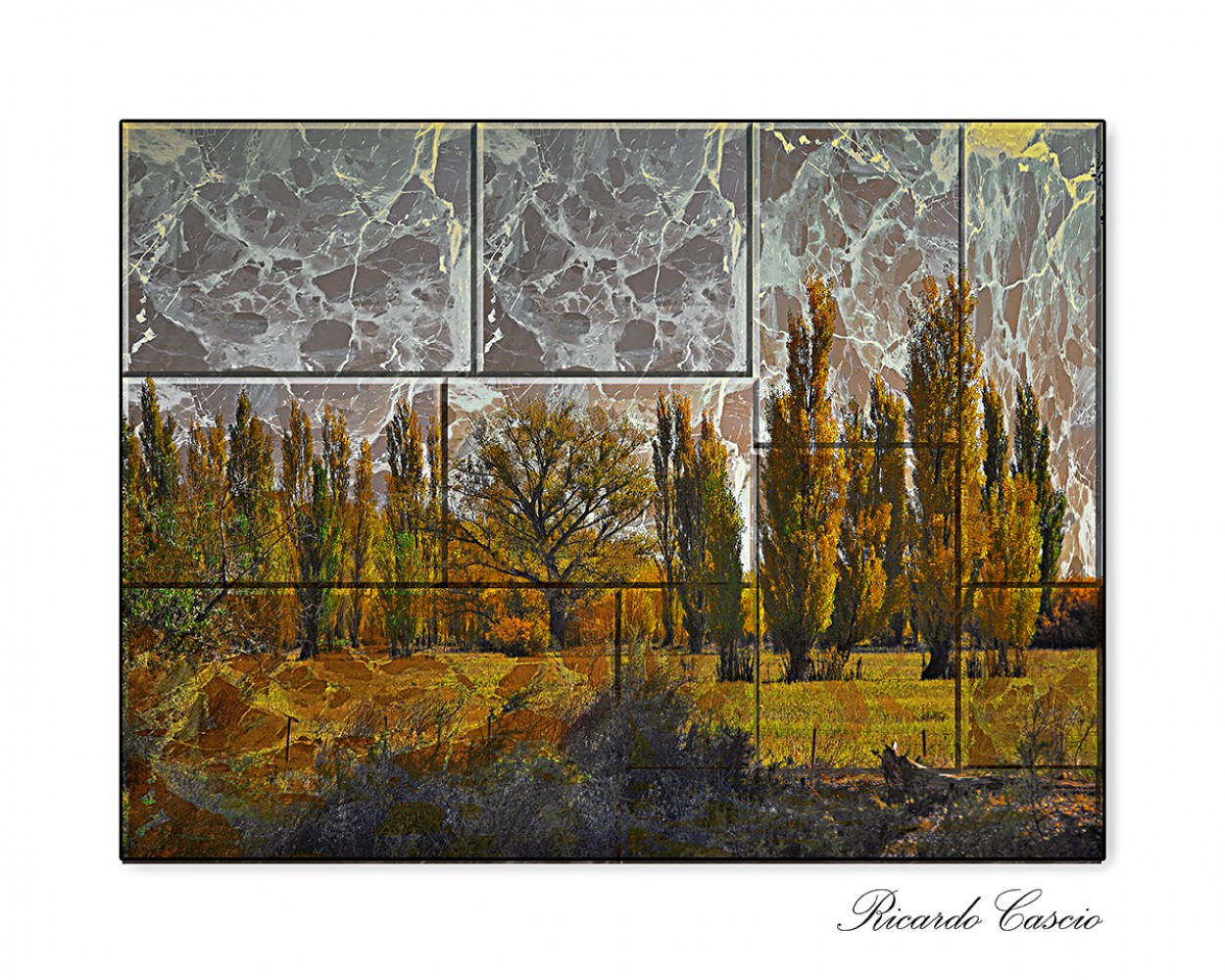"Mosaico" de Ricardo Cascio