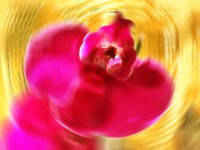 ` De colores `um toque no app PhotoScape X 10....