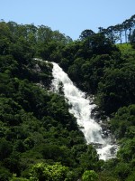 Visita a nossa ` Cachoeira dos Pretos ` 154 mts...