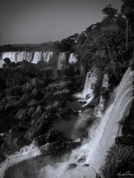 Deep Iguazu