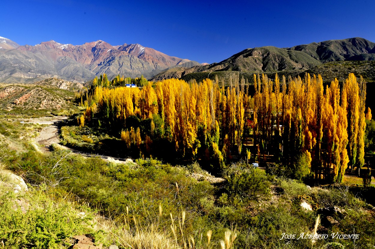 "Potrerillos, Mendoza" de Jose Alberto Vicente