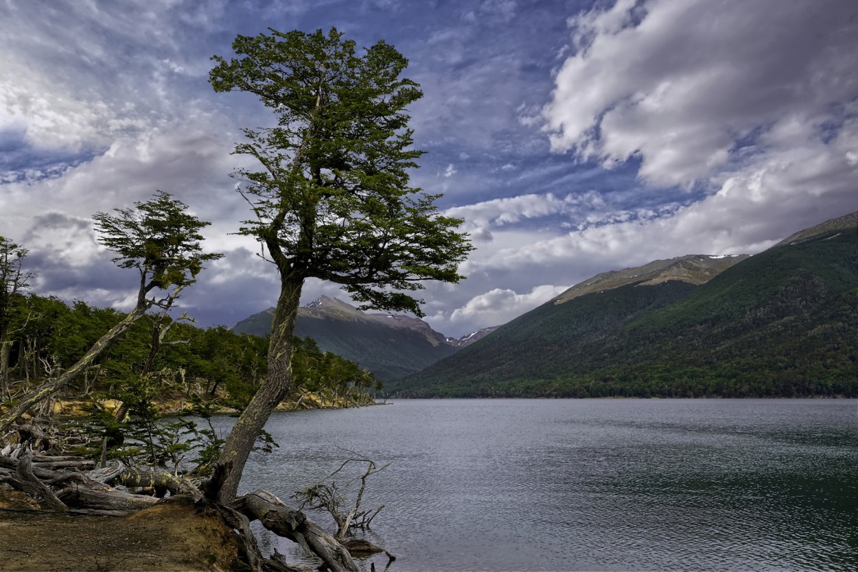"A orillas del lago Escondido/Tierra del Fuego" de Alberto Daniel Gangi