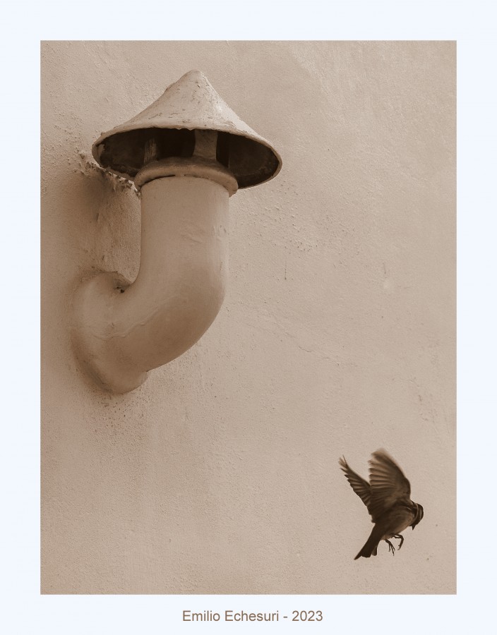 "Cerca del nido" de Emilio Echesuri