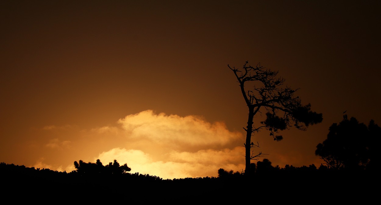 "Ultimo sol de un martes de enero..." de Juan Carlos Barilari