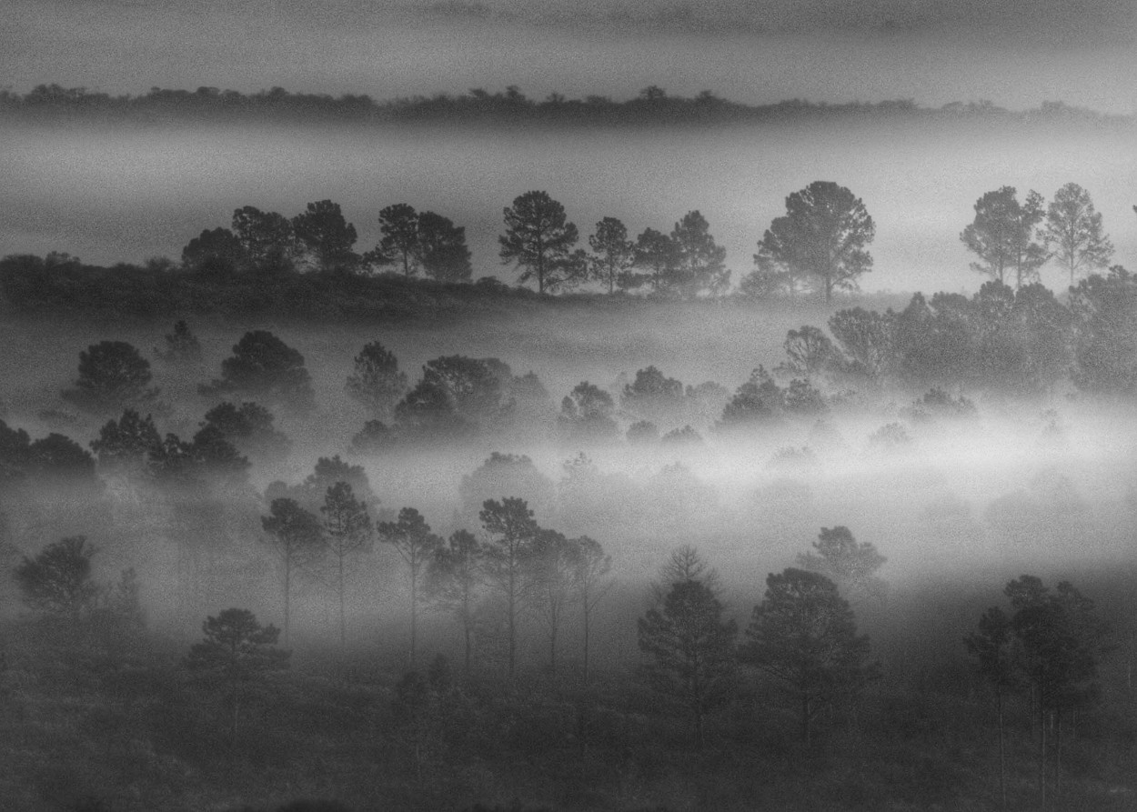 "Maana de niebla ll" de Marcelo Giorgi