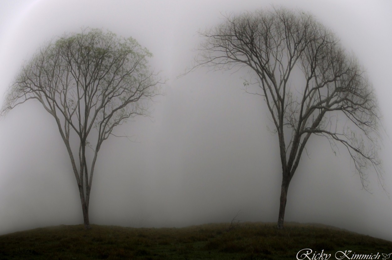 "Hermanos en la Niebla" de Ricky Kimmich