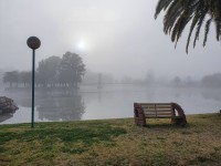 Niebla en el Parque