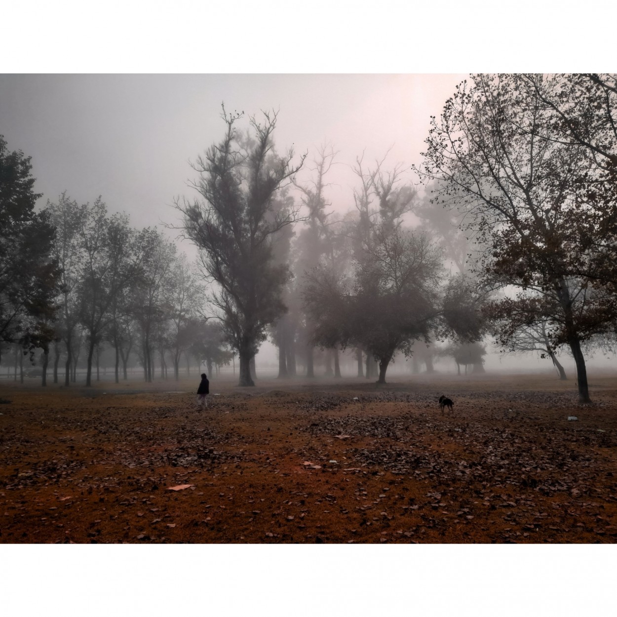 "La neblina al caminar" de Gabriel Rigal