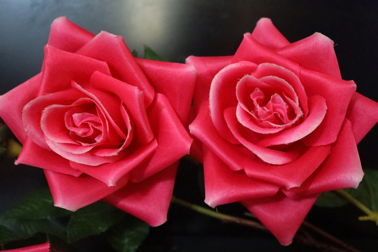 "2 Rosas para ti" de Paco Lopez Requena