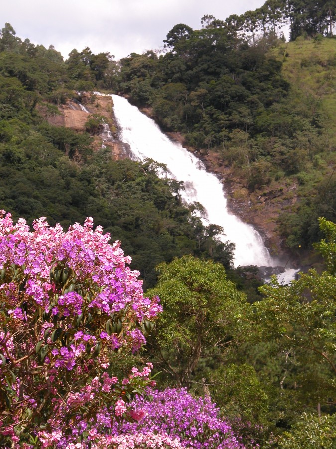 "Uma moldura primaveril para o nossa Cachoeira..ler" de Decio Badari