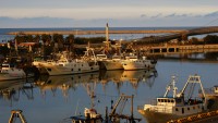 Barcos pesqueros, Puerto de Pescara