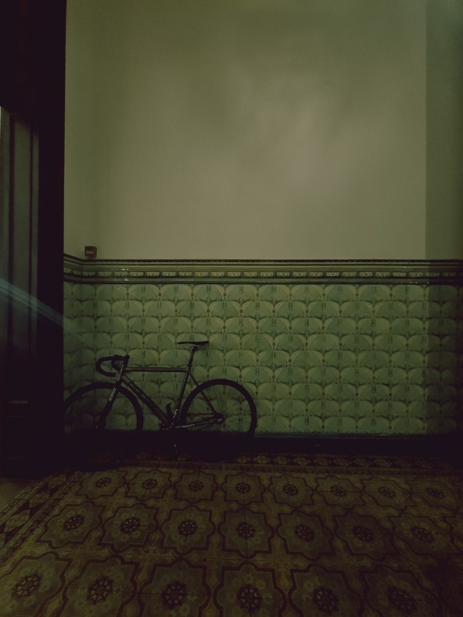 "La Bici" de Veronica Delponti
