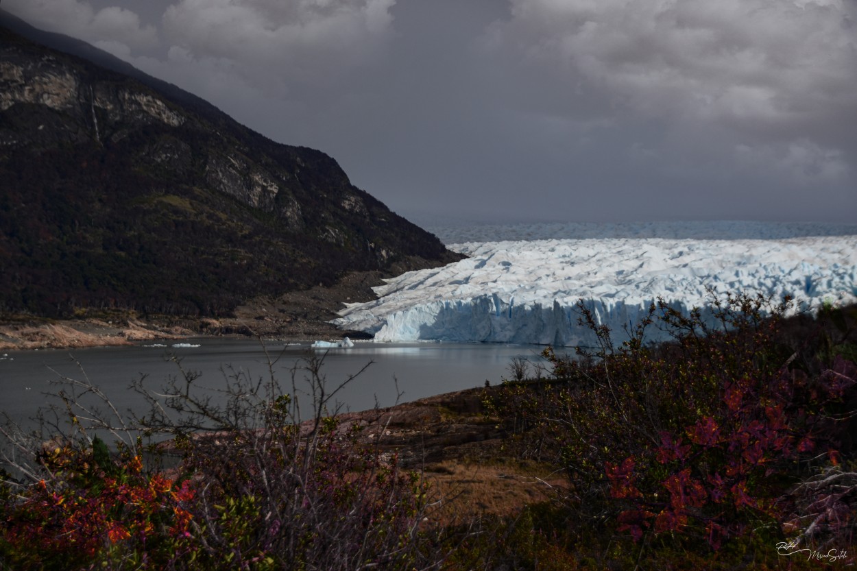 "Glaciar Perito Moreno" de Miriam E. Sotelo