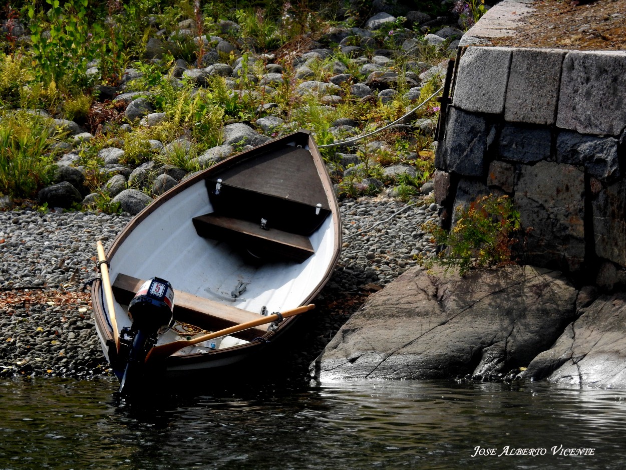 "bote vikingo" de Jose Alberto Vicente