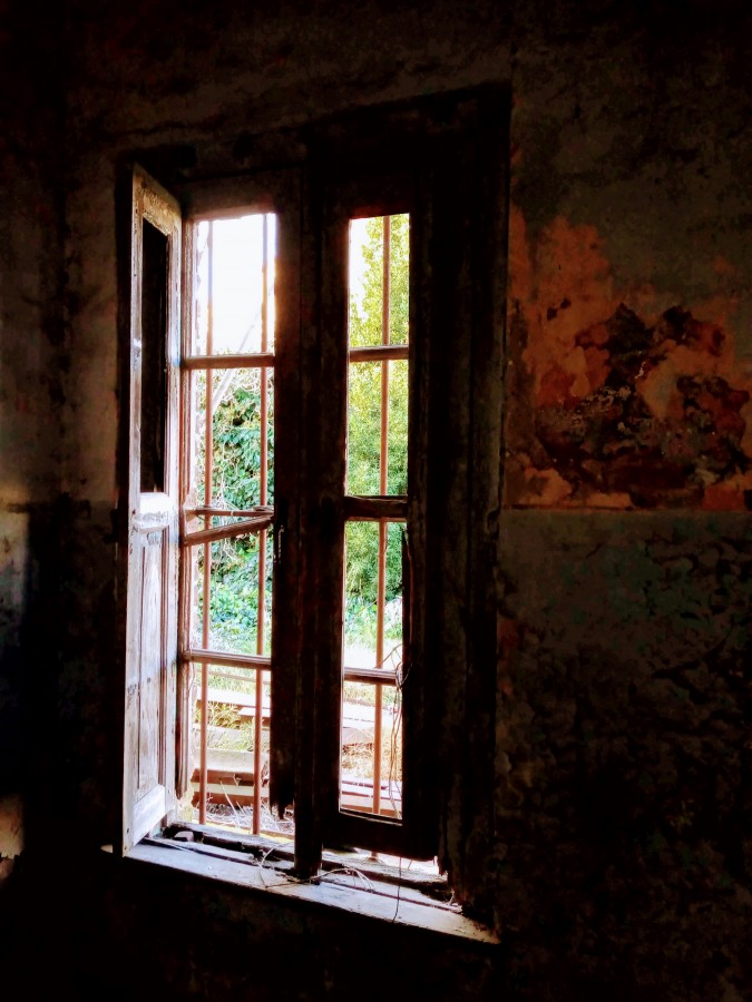 "A través de la ventana." de Maria Ines Ferrando