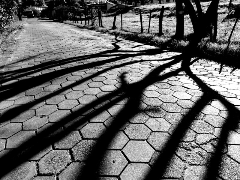 "Pausa na caminhada, pisar em luz e sombras...ler" de Decio Badari