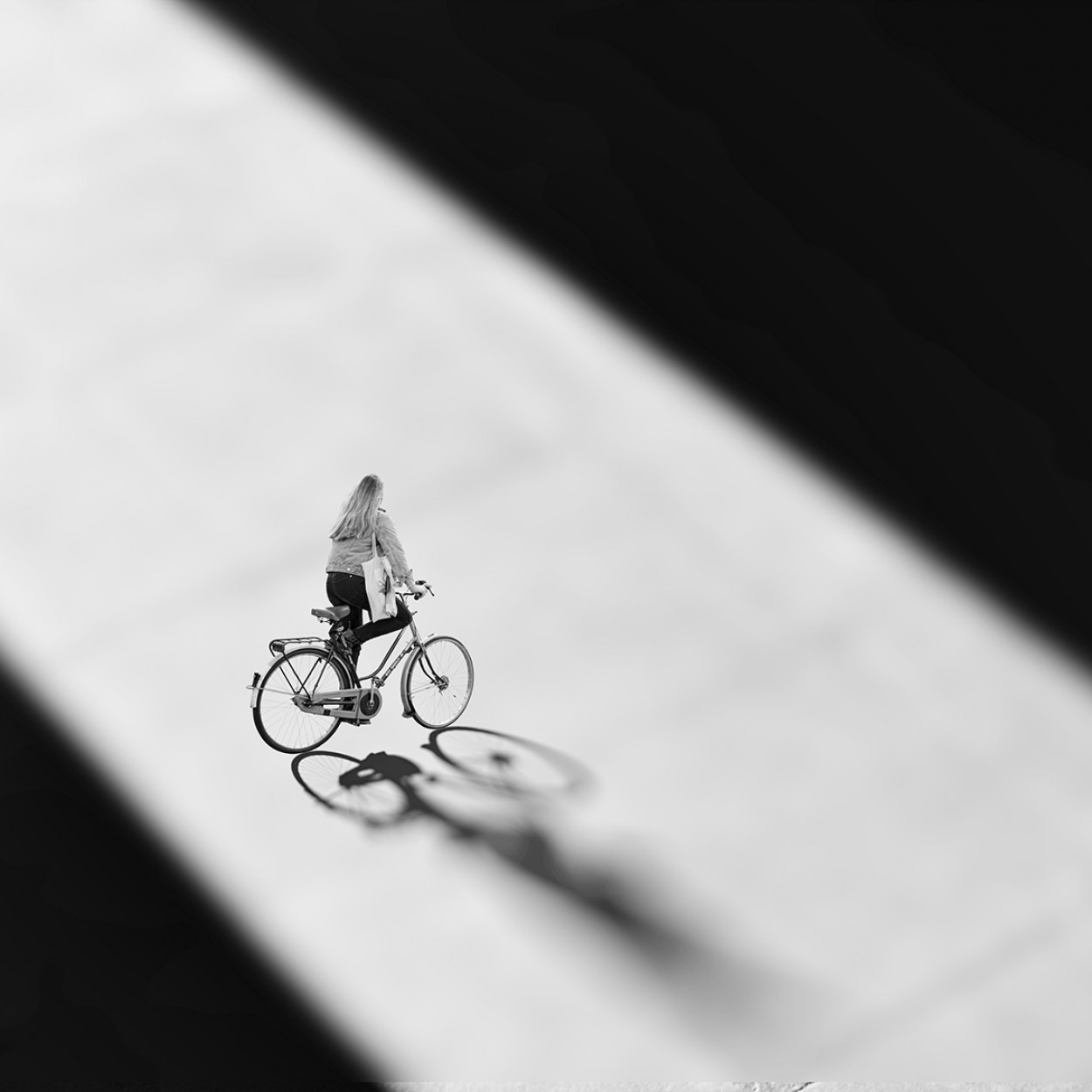 "Ride in Bicycle" de Carlos A. Sandoval