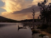 El encanto del Lago Fagnano/Tierra del Fuego