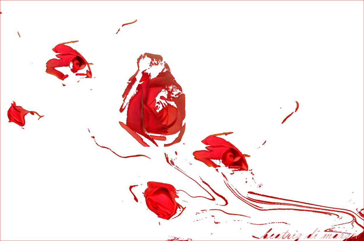 "rosa rosada" de Beatriz Di Marzio