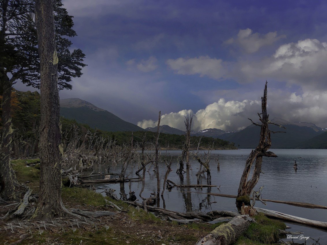 "Lago Fagnano/Tierra del Fuego." de Alberto Daniel Gangi