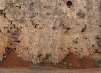 Arquitetura das formigas e suas muralhas...leia