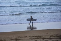 La Surfer
