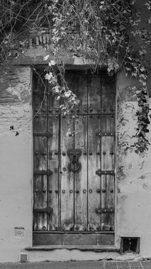 "Puerta" de Andrs Gonzlez