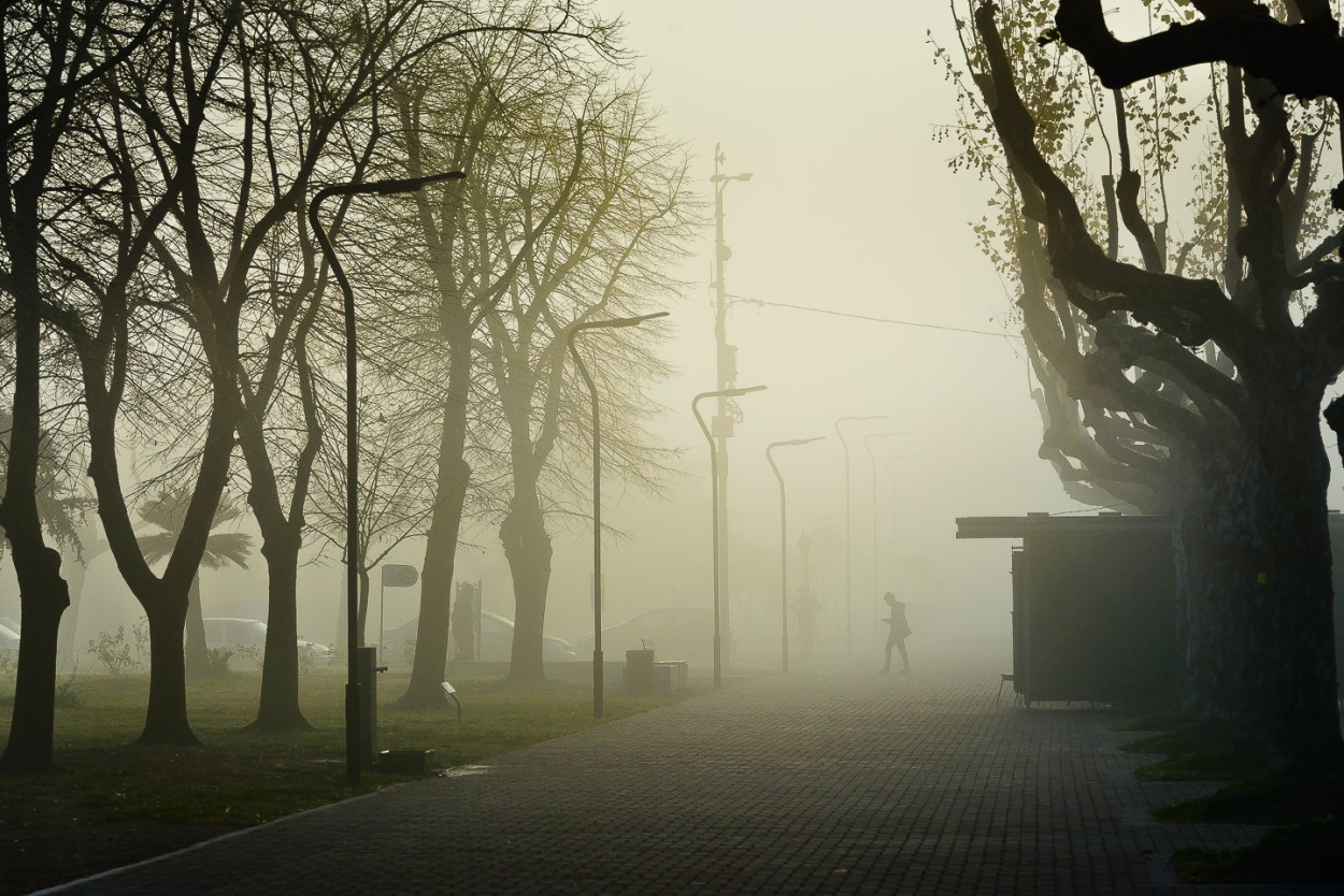"Ciudad en la niebla" de Fernando Valdez Vazquez