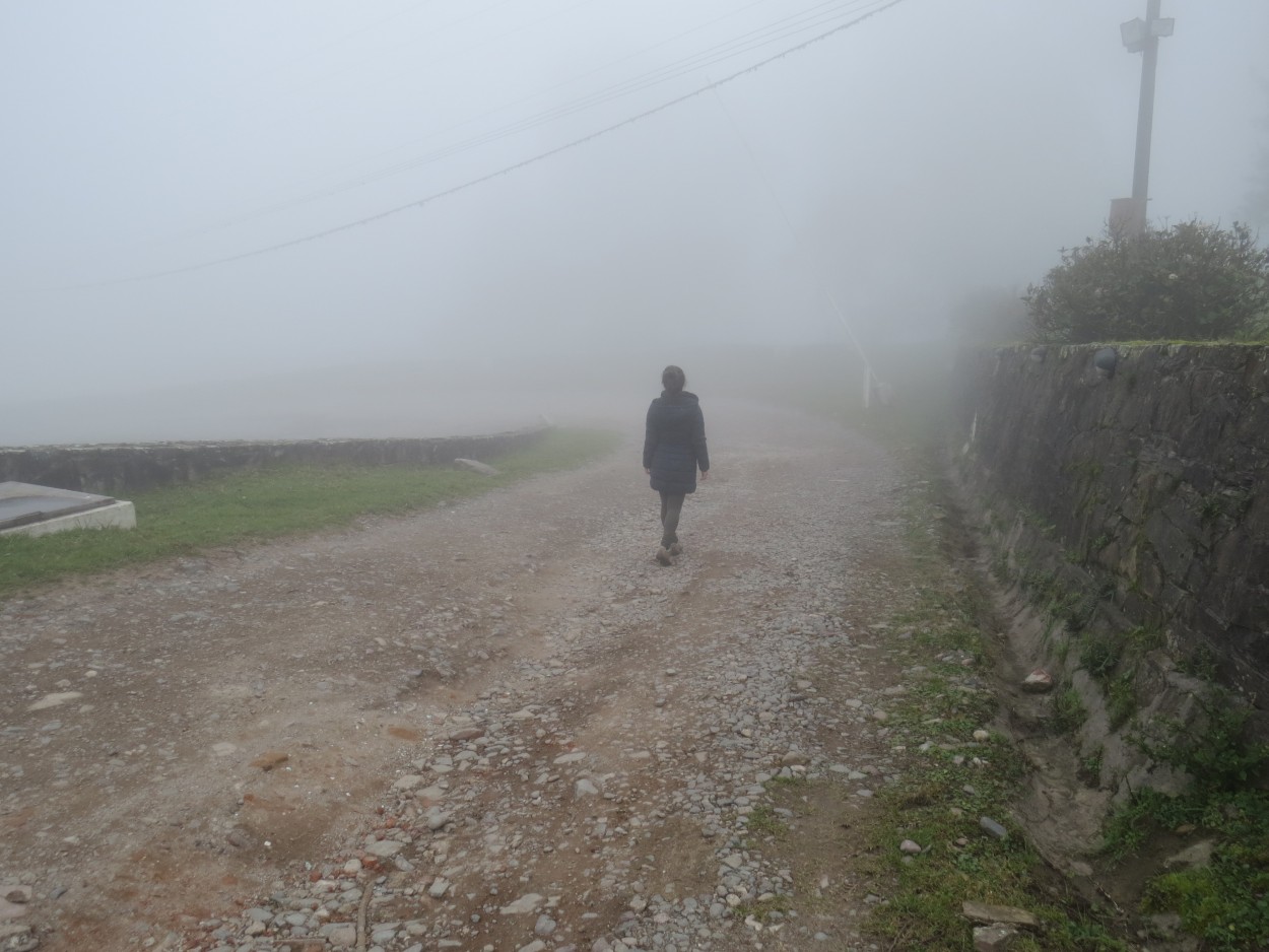 "Mucha niebla" de Ins Mara Duarte